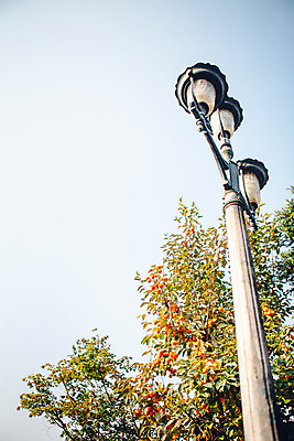 포토 JPG 주간 나무 로우앵글 단풍 가로등 하늘 거리 서울 풍경 사람없음 야외 가을 남산공원 국내포토 자연요소 식물 계절 공공시설 뷰포인트 잎 한국 남산 파일형식