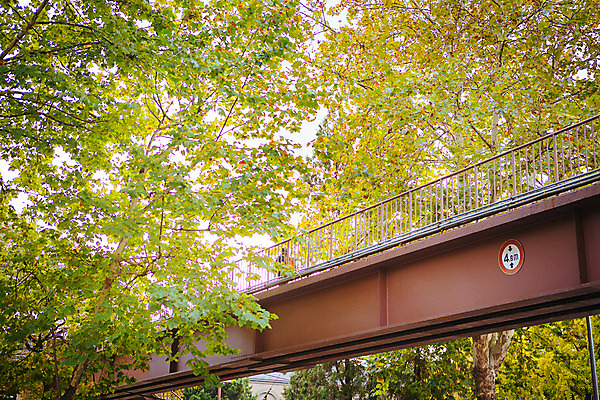 포토 JPG 주간 나무 단풍 거리 서울 풍경 사람없음 야외 가을 다리 국내포토 자연요소 식물 계절 잎 한국 신체부위 파일형식