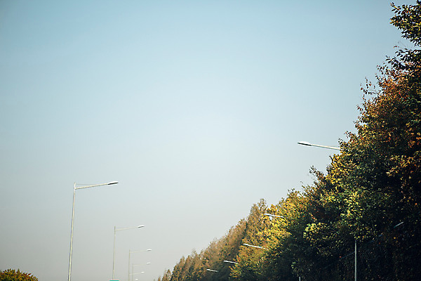 포토 JPG 주간 나무 가로등 하늘 거리 서울 풍경 사람없음 야외 가을 올림픽공원 국내포토 자연요소 식물 계절 공원 공공시설 한국 파일형식