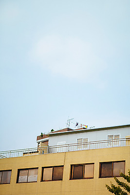 포토 JPG 주간 나무 창문 하늘 서울 풍경 사람없음 야외 건물 빨래 녹사평대로 국내포토 자연요소 식물 건축물 가사 한국 파일형식