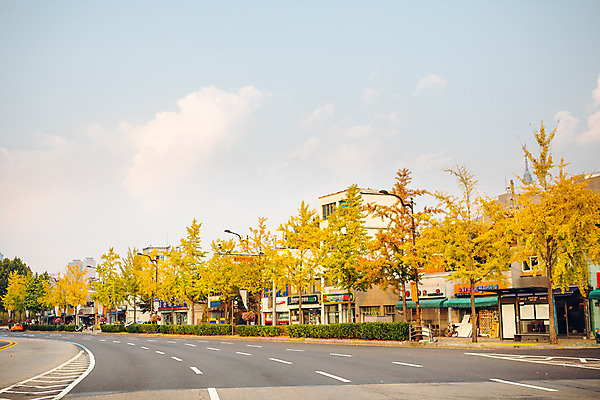 포토 JPG 주간 나무 구름 도로 단풍 하늘 거리 서울 풍경 사람없음 야외 건물 상점 가을 은행나무 국내포토 자연요소 식물 건축물 계절 길 잎 교통시설 한국 파일형식