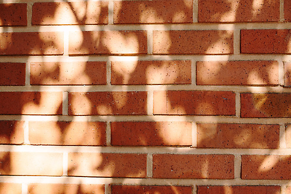 포토 JPG 주간 벽 백그라운드 벽돌 거리 서울 그림자 풍경 사람없음 야외 보석길 국내포토 자연요소 한국 파일형식