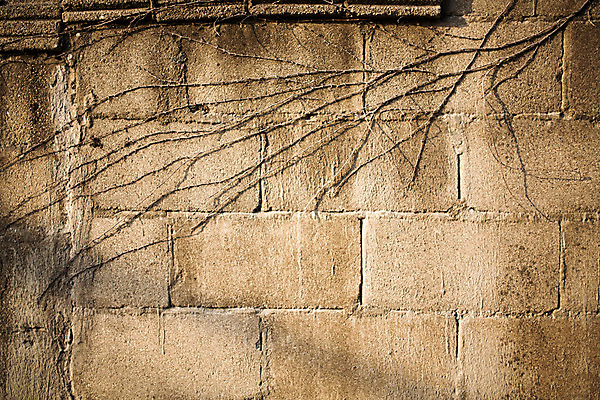 포토 JPG 주간 백그라운드 벽돌 거리 서울 풍경 사람없음 야외 담장 가을 덩굴 보석길 국내포토 자연요소 식물 계절 한국 파일형식