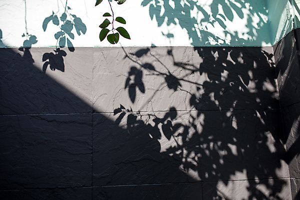 포토 JPG 주간 벽 백그라운드 거리 서울 그림자 풍경 사람없음 야외 가을 나뭇가지 보석길 국내포토 자연요소 나무 계절 한국 파일형식