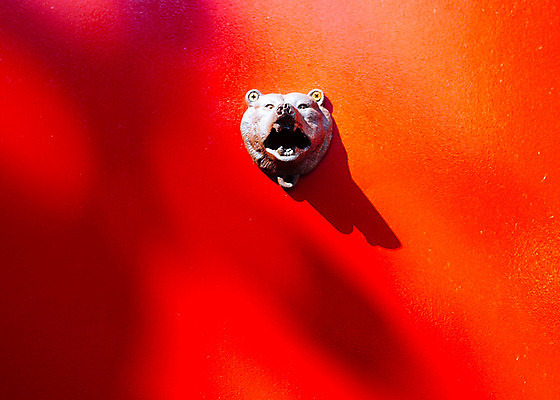 포토 JPG 주간 벽 백그라운드 거리 서울 풍경 사람없음 야외 장식 곰모양 보석길 국내포토 자연요소 모양 곰 한국 파일형식