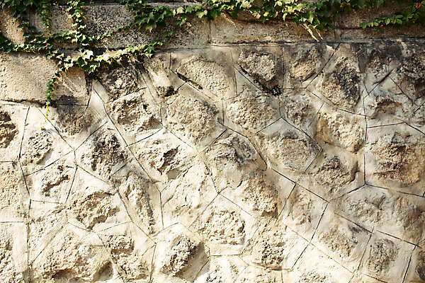 포토 JPG 주간 백그라운드 거리 서울 풍경 사람없음 야외 담장 덩굴 보석길 국내포토 자연요소 식물 한국 파일형식