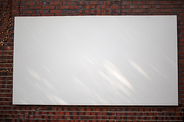 포토 JPG 주간 벽 백그라운드 벽돌 거리 서울 광고판 풍경 사람없음 야외 가을 덩굴 보석길 국내포토 자연요소 식물 계절 한국 알림판 판 파일형식