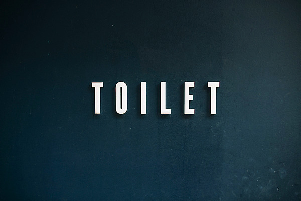 포토 JPG 주간 백그라운드 거리 서울 풍경 사람없음 야외 화장실 공중화장실 보석길 국내포토 자연요소 한국 파일형식