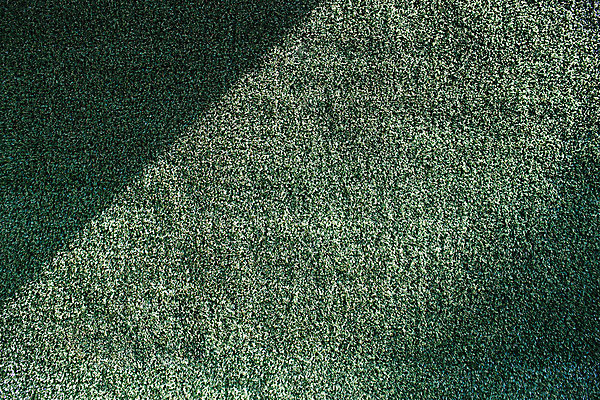 포토 JPG 주간 벽 백그라운드 거리 서울 풍경 사람없음 야외 초록색 햇빛 삼청동 인사동 국내포토 자연요소 컬러 한국 태양 종로 파일형식