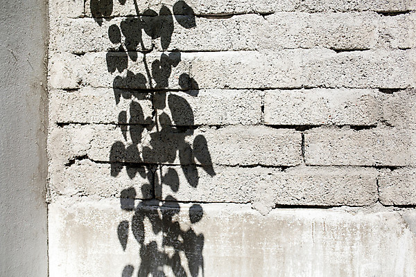 포토 JPG 주간 벽 백그라운드 벽돌 거리 서울 그림자 풍경 사람없음 야외 담장 삼청동 인사동 국내포토 자연요소 한국 종로 파일형식