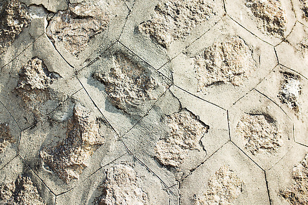 포토 JPG 주간 벽 백그라운드 거리 서울 풍경 사람없음 야외 삼청동 인사동 콘크리트벽 국내포토 자연요소 한국 종로 파일형식