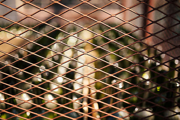 포토 JPG 주간 백그라운드 거리 서울 풍경 사람없음 야외 아웃포커스 와인병 철조망 삼청동 인사동 국내포토 자연요소 병_용기 한국 촬영기법 와인 종로 파일형식