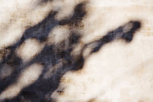 포토 JPG 주간 벽 백그라운드 거리 서울 그림자 풍경 사람없음 야외 삼청동 인사동 국내포토 자연요소 한국 종로 파일형식