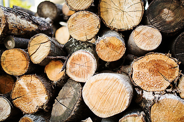 포토 JPG 주간 나무 백그라운드 거리 서울 풍경 사람없음 야외 목재 삼청동 인사동 국내포토 자연요소 식물 재료 한국 종로 파일형식