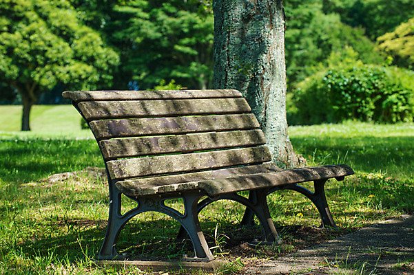 포토 JPG 주간 나무 공원 벤치 자연 그림자 풍경 사람없음 야외 아웃포커스 일본 숲 국내포토 자연요소 식물 공공시설 아시아 의자 촬영기법 생태계 파일형식