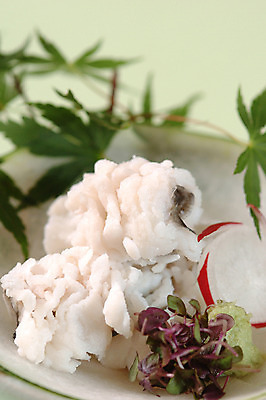 포토 JPG 접시 음식 단풍 채소 근접촬영 사람없음 아웃포커스 샐러드 일본음식 타코와사비 국내포토 식기 뷰포인트 잎 촬영기법 파일형식