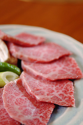 포토 JPG 접시 식재료 육류 근접촬영 사람없음 아웃포커스 소고기 파 국내포토 식기 뷰포인트 채소 촬영기법 파일형식