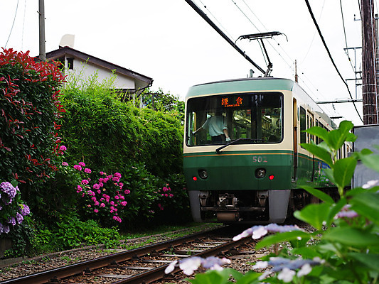 포토 JPG 주간 식물 꽃 주택 한명 사람 야외 일본 기찻길 기차 기관사 철도의날 국내포토 자연요소 직업 1 아시아 육상교통 대중교통 건물 파일형식 법정기념일