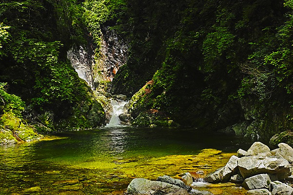 포토 JPG 주간 나무 자연 풍경 사람없음 야외 물 계곡 일본 바위 숲 국내포토 자연요소 식물 아시아 돌_바위 생태계 파일형식