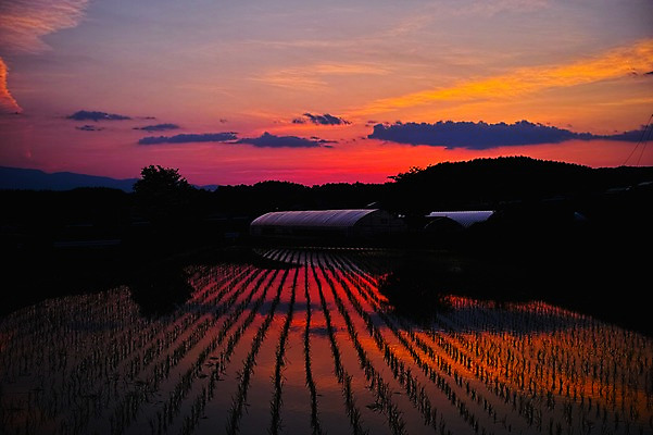 포토 JPG 구름 실루엣 자연현상 자연 하늘 산 논 풍경 사람없음 야외 농경지 노을 일본 일몰 야간 국내포토 자연요소 아시아 농업 촬영기법 농장 생태계 파일형식
