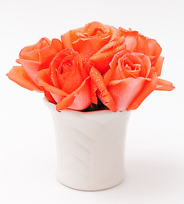 포토 JPG 해외이미지 식물 꽃잎 꽃 길 꽃다발 백그라운드 잎 꽃무늬 오렌지 자연 발렌타인데이 선물 사랑 씨앗 사람없음 장식 초록색 컬러풀 장미 꽃병 벚꽃 흰색 신선 원형 우아함 혼합 배열 묘사 질감 내추럴 고립 해외202004 해외포토 도형 감정 컬러 컨셉 무늬 과일 데이이벤트 생태계 파일형식 이미지허브