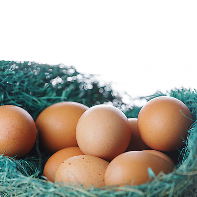 포토 JPG 해외이미지 동물 음식 백그라운드 재료 자연 부활절 새로움 건강 요리 사람없음 농장 갈색 노란색 계란 식사 치킨 껍질 흰색 신선 그룹 아침식사 먹기 유기농 날것 내추럴 고립 단백질 삶기 암탉 취급주의 해외202004 해외포토 웰빙 기념일 컬러 컨셉 농업 모션 경고 알 닭 암컷 생태계 닭고기요리 영양소 파일형식 이미지허브