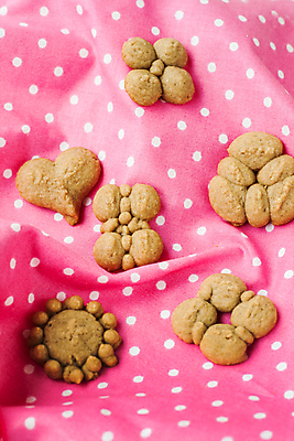 포토 JPG 해외이미지 모양 디자인 문화 음료 음식 분홍색 백그라운드 크리스마스 패턴 가족 휴가 디저트 사탕 요리 사람 인종 이벤트 사람없음 목재 장식 파티 쿠키 케이크 보라색 피규어 하트 축하 그룹 달콤 12월 설탕 굽기 오브젝트 상쾌 완두콩 진홍색 생강 페스츄리 핸드메이드 해외202004 해외포토 나무 기념일 감정 빵 컬러 컨셉 무늬 채소 재료 관계 콩 빨간색 미니어처 날짜 맛 구이 파일형식 이미지허브