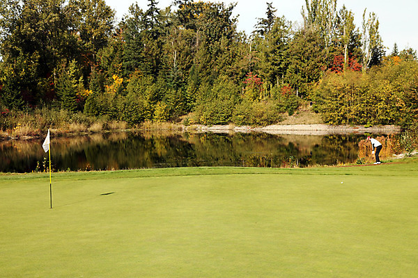 포토 JPG 해외이미지 나무 스포츠 캐나다 골프 휴가 영국 경기 사람없음 초록색 경쟁 고급 강의 페어웨이 표준 해외202004 해외포토 식물 유럽 컬러 컨셉 북아메리카 구기 파일형식 이미지허브