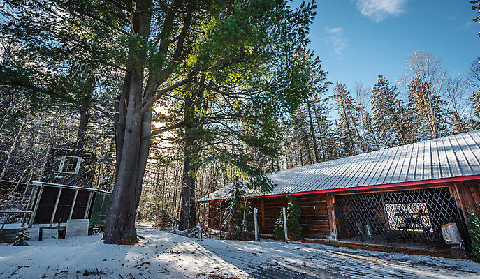 포토 JPG 해외이미지 계절 겨울 자연 하늘 사람없음 야외 건물 컬러풀 햇빛 반사 맑음 침묵 활발 추위 흰색 시골 보호 숲 갑판 시설 삼림지대 해외202004 해외포토 건축물 컬러 컨셉 배_교통 날씨 태양 소리 생태계 파일형식 이미지허브