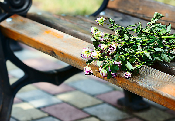 포토 JPG 해외이미지 디자인 커플 꽃 행복 줄기 꽃다발 백그라운드 벤치 의자 자연 사랑 사람없음 초록색 빛 장미 벚꽃 날짜 우아함 배열 약혼 해외202004 해외포토 식물 감정 컬러 가구 결혼 컨셉 관계 생태계 약속 파일형식 이미지허브