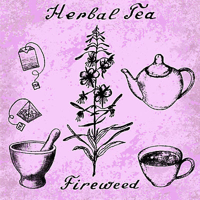 포토 JPG 해외이미지 식물 꽃 분홍색 잎 꽃무늬 가방 일러스트 자연 주전자 건강 사람없음 컵 초록색 세트 화장품 수확 아침식사 찻주전자 스케치 허브 그림 에코 유기농 손그림 내추럴 막자 시베리아 엘리먼트 해외202004 해외포토 식기 웰빙 잡화 컬러 무늬 농업 주방용품 미술 뷰티 환경 식사 생태계 파일형식 이미지허브