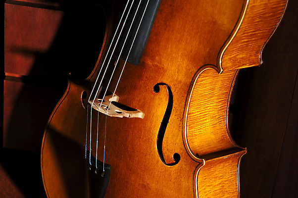 포토 JPG 해외이미지 줄 음악 단풍 노래 미술 사람없음 목재 화목 콘서트 공연 음악가 장비 기구 극장 바이올린 첼로 오케스트라 교향곡 뮤지컬 베이스 오해 스타일 해외202004 해외포토 나무 직업 컨셉 잎 재료 현악기 문화예술 이벤트 악단 파일형식 찰현악기 이미지허브