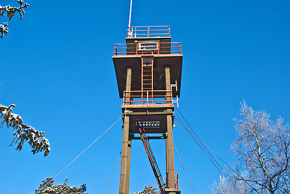 포토 JPG 해외이미지 나무 단풍 겨울 자연 조류 하늘 날씨 풍경 사람없음 햇빛 추위 소나무 숲 라임 전나무 자작나무 개암나무 재 향나무 해외202004 해외포토 식물 동물 계절 잎 과일 태양 생태계 파일형식 이미지허브