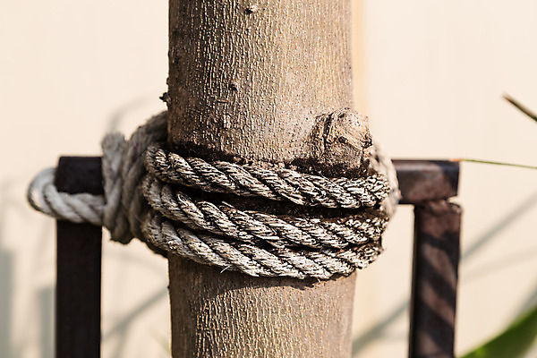 포토 JPG 해외이미지 나무 선 밧줄 줄 줄기 추상 나선형 사람없음 목재 갈색 검은색 힘 덮개 악단 원형 균열 구부린 묶기 보따리 잠금 매듭 철사 고정 말뚝 유지 그런지 신발장 어려움 옛날 잠금해제 해외202004 해외포토 도형 식물 음악 컬러 무늬 재료 모션 뚜껑 보안 파일형식 이미지허브