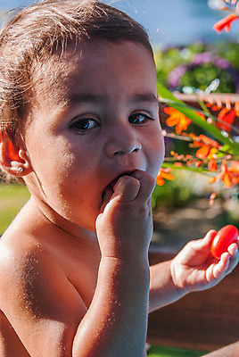 포토 JPG 해외이미지 얼굴 어린이 토마토 채소 방울토마토 한명 소녀 야외 머리 아기 먹기 결백 해외202004 해외포토 1 여자 모션 사람 신체부위 파일형식 이미지허브