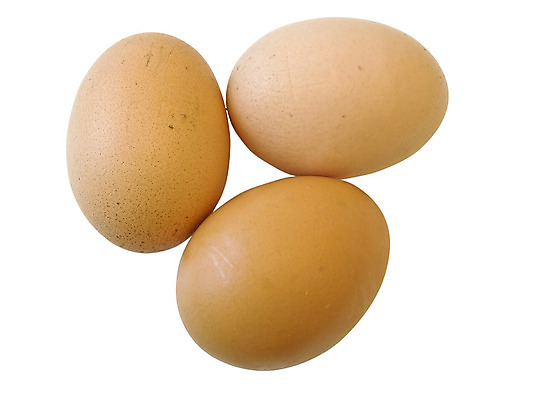 포토 JPG 해외이미지 음식 농업 다이어트 조류 건강 3 사람없음 농장 계란 치킨 껍질 흰색 아침식사 상품 먹기 유기농 고립 단백질 암탉 해외202004 해외포토 동물 웰빙 산업 컬러 모션 알 식사 닭 암컷 닭고기요리 영양소 파일형식 이미지허브