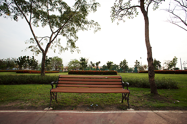 포토 JPG 해외이미지 나무 식물 라이프스타일 디자인 계절 공원 꽃 여행 가구 백그라운드 벤치 의자 자연 휴가 휴식 주택 앉기 풍경 사람없음 야외 목재 빨간색 초록색 여름 파란색 태양 갈색 평화 정원 맑음 봄 흰색 복고 장면 내추럴 해외202004 해외포토 자연요소 공공시설 컬러 생활용품 컨셉 재료 모션 날씨 건물 생활 생태계 파일형식 이미지허브