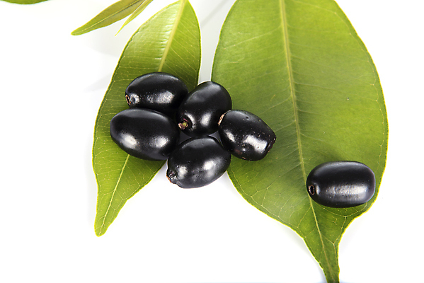 포토 JPG 해외이미지 나무 식물 전통 열매 음식 줄기 백그라운드 잎 과일 태국 자연 건강 씨앗 사람없음 목재 빨간색 초록색 약 바구니 보라색 검은색 흰색 시골 신선 달콤 작음 인도인 먹기 허브 유기농 날것 자두 내추럴 고립 숙성 칼슘 해외202004 해외포토 외국인 웰빙 아시아 컬러 재료 의학 모션 동양인 맛 크기 생태계 파일형식 이미지허브