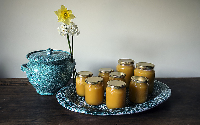 포토 JPG 해외이미지 라이프스타일 접시 꽃잎 꽃 음식 벽 농업 과일 자연 노동자 쟁반 사람없음 목재 초록색 정원 농사 수확 시골 업무 농부 오브젝트 흰배경 꽃가루 수선화 밭일 정물화 해외202004 해외포토 나무 식물 직업 식기 산업 컬러 백그라운드 재료 생활 흰색 작업 가루 그림 생태계 파일형식 이미지허브