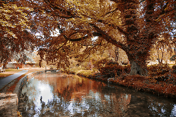 포토 JPG 해외이미지 나무 영어 여행 잎 곡선 아침 영국 잉글랜드 건조 사람없음 야외 초록색 물 강 반사 갈색 노란색 성장 가을 나뭇가지 개울 강가 청소 아치 운하 땅바닥 해외202004 해외포토 주간 자연요소 식물 문자 계절 유럽 선 컬러 바닥 파일형식 이미지허브