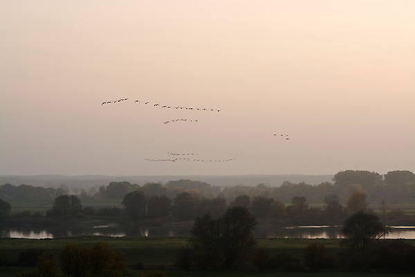 포토 JPG 해외이미지 자연 풍경 사람없음 강 계곡 새벽 가을 시골 숲 멀리 10월 내추럴 수평선 해외202004 해외포토 자연요소 계절 날짜 생태계 파일형식 이미지허브