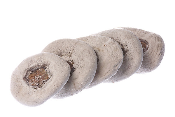 포토 JPG 해외이미지 음식 조각 농업 다이어트 과일 자연 디저트 건조 건강 감 사람없음 닫기 달콤 맛 슬라이스 고립 숙성 이국적 해외202004 해외포토 산업 컨셉 모션 생태계 파일형식 이미지허브