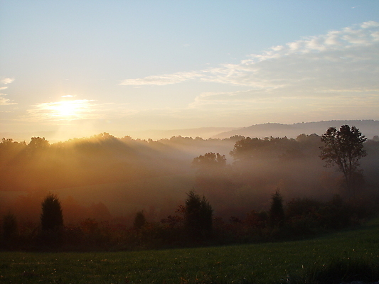 포토 JPG 해외이미지 나무 잎 밭 아침 사람없음 태양 일출 일몰 새벽 안개 가을 저녁 숲 수분 언덕 해외202004 해외포토 주간 자연요소 식물 계절 농업 날씨 노을 야간 파일형식 이미지허브