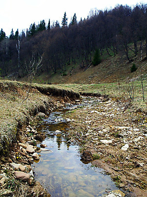 포토 JPG 해외이미지 호수 자연 풍경 사람없음 물 파란색 강 마을 봄 숲 러시아 지역 해외202004 해외포토 자연요소 계절 유럽 컬러 생태계 파일형식 이미지허브