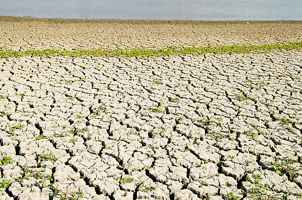 포토 JPG 해외이미지 지구 호수 백그라운드 자연 건조 사람없음 야외 글로벌 갈색 환경 땅 진흙 가뭄 땅바닥 재앙 해외202004 해외포토 컬러 날씨 바닥 생태계 파일형식 이미지허브