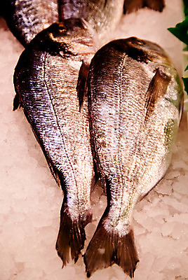 포토 JPG 해외이미지 음식 낚시 뼈 어류 요리 사람없음 저녁식사 시장 먹기 해산물 해외202004 해외포토 모션 레저 식사 수중동물 파일형식 이미지허브