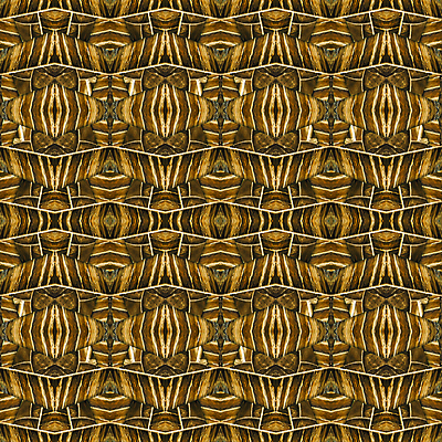 포토 JPG 해외이미지 디자인 백그라운드 패턴 벽지 추상 미술 사람없음 그래픽 장식 갈색 거울 직물 인쇄 인도인 모자이크 원시시대 부족 스타일 해외202004 해외포토 외국인 컬러 컨셉 무늬 문화예술 동양인 역사 파일형식 이미지허브