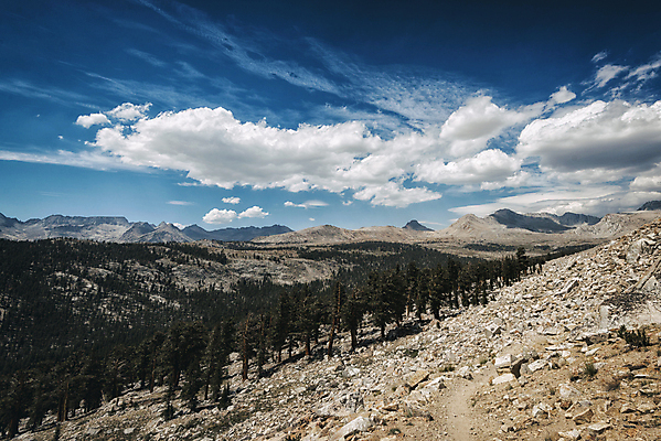 포토 JPG 해외이미지 나무 구름 공원 여행 자연 하늘 날씨 휴가 산 국립공원 풍경 사람없음 야외 여름 환경 미국 하이킹 황무지 고독 보호 숲 배낭여행 캘리포니아 암초 드라마 멀리 기후변화 해외202004 해외포토 자연요소 식물 계절 공공시설 감정 컨셉 북아메리카 레저 변화 생태계 파일형식 이미지허브