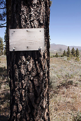 포토 JPG 해외이미지 나무 공원 조각 자연 광고판 사람없음 목재 방 시골 소나무 메시지 널 숲 방향 사인 나무껍질 옛날 해외202004 해외포토 식물 공공시설 재료 알림판 껍질 생태계 판 파일형식 이미지허브