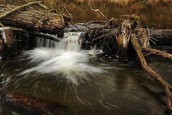 포토 JPG 해외이미지 식물 자연 풍경 사람없음 가로 물 파란색 강 농경지 봄 폭포 흐름 가을 흰색 시골 성 옛날 콘크리트 해외202004 해외포토 자연요소 건축물 계절 컬러 컨셉 농장 생태계 파일형식 이미지허브